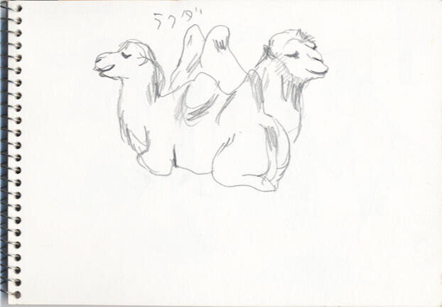 Camel Camel