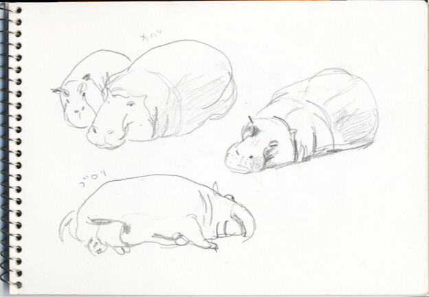 Hippo Hippo