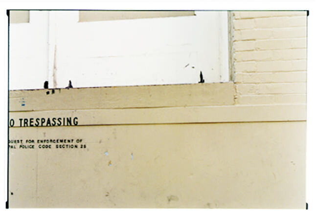 Wall & Sign Wall & Sign