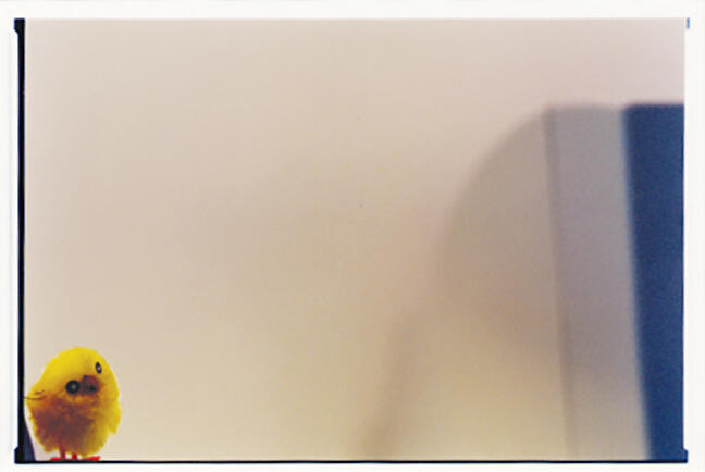 Chick & Wall Chick & Wall